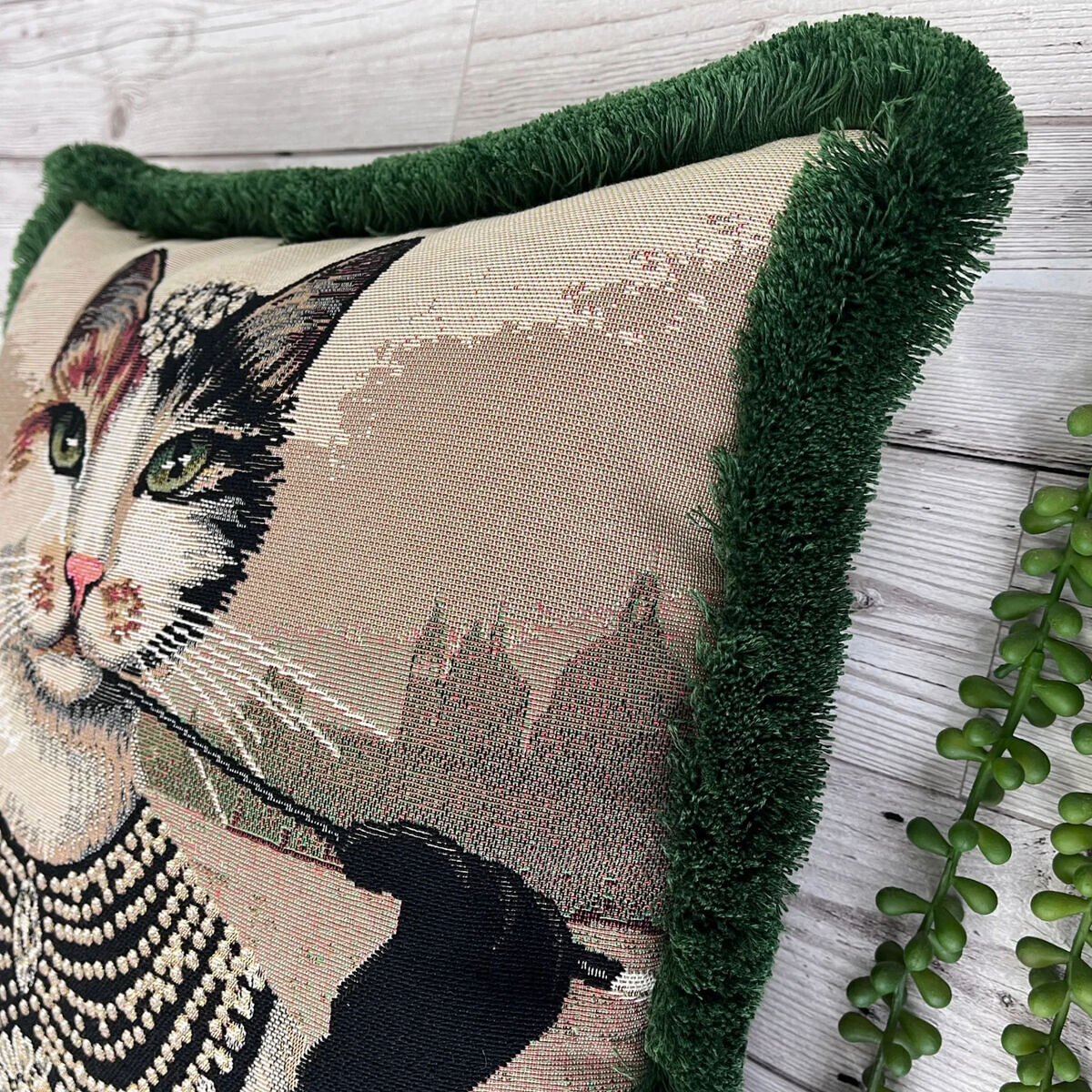 Cat Cushion