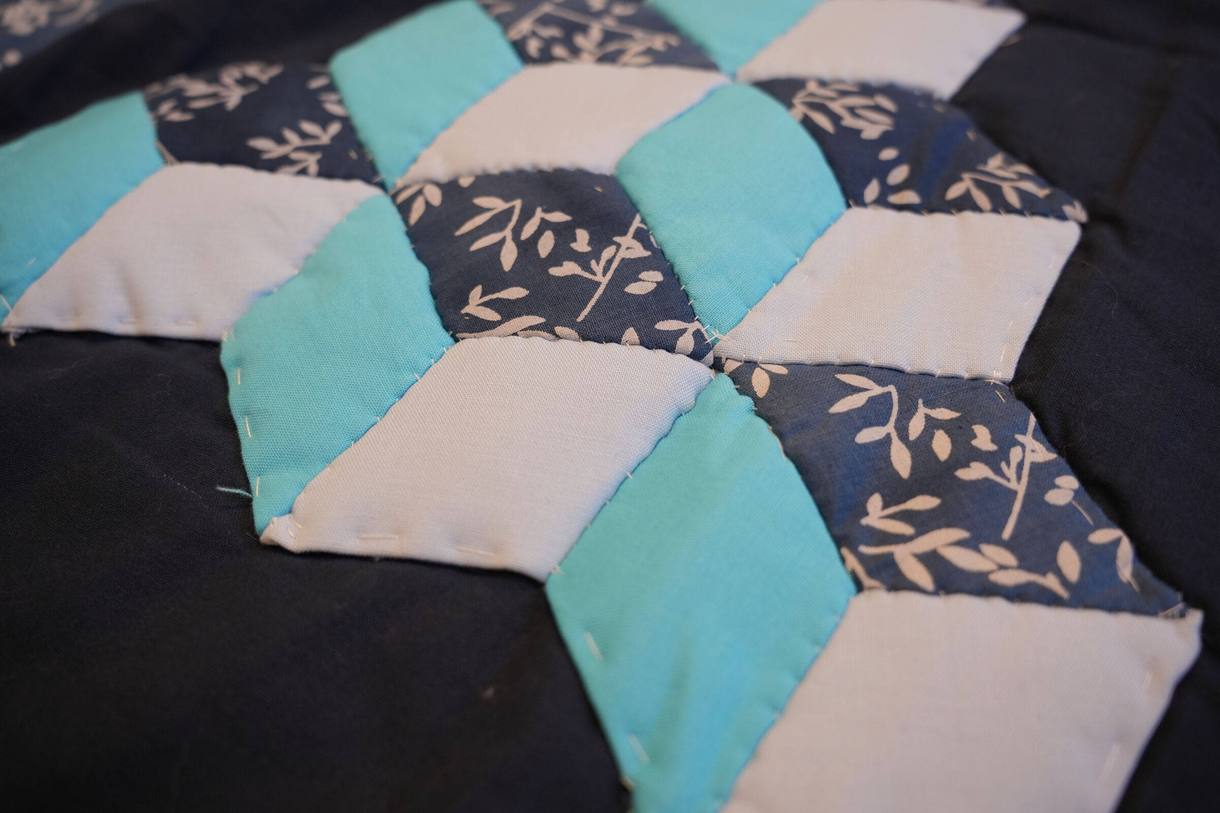 The Crafty Stitchers Sampler Quilt 2025
